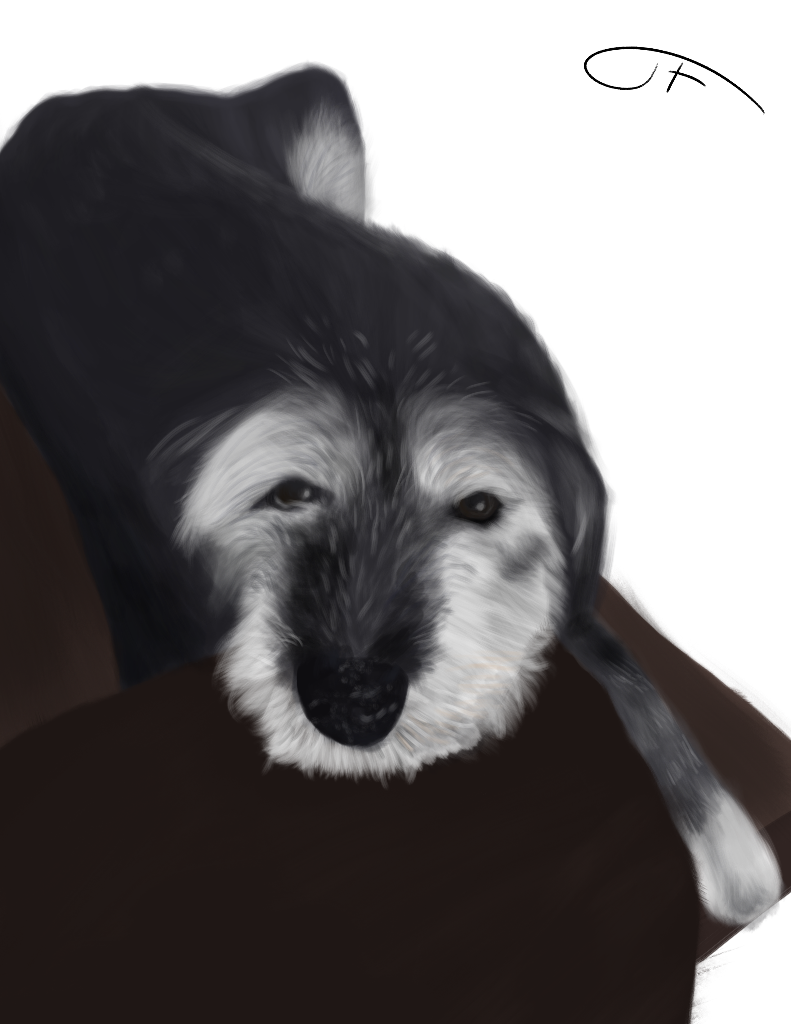 ChesterArt.png